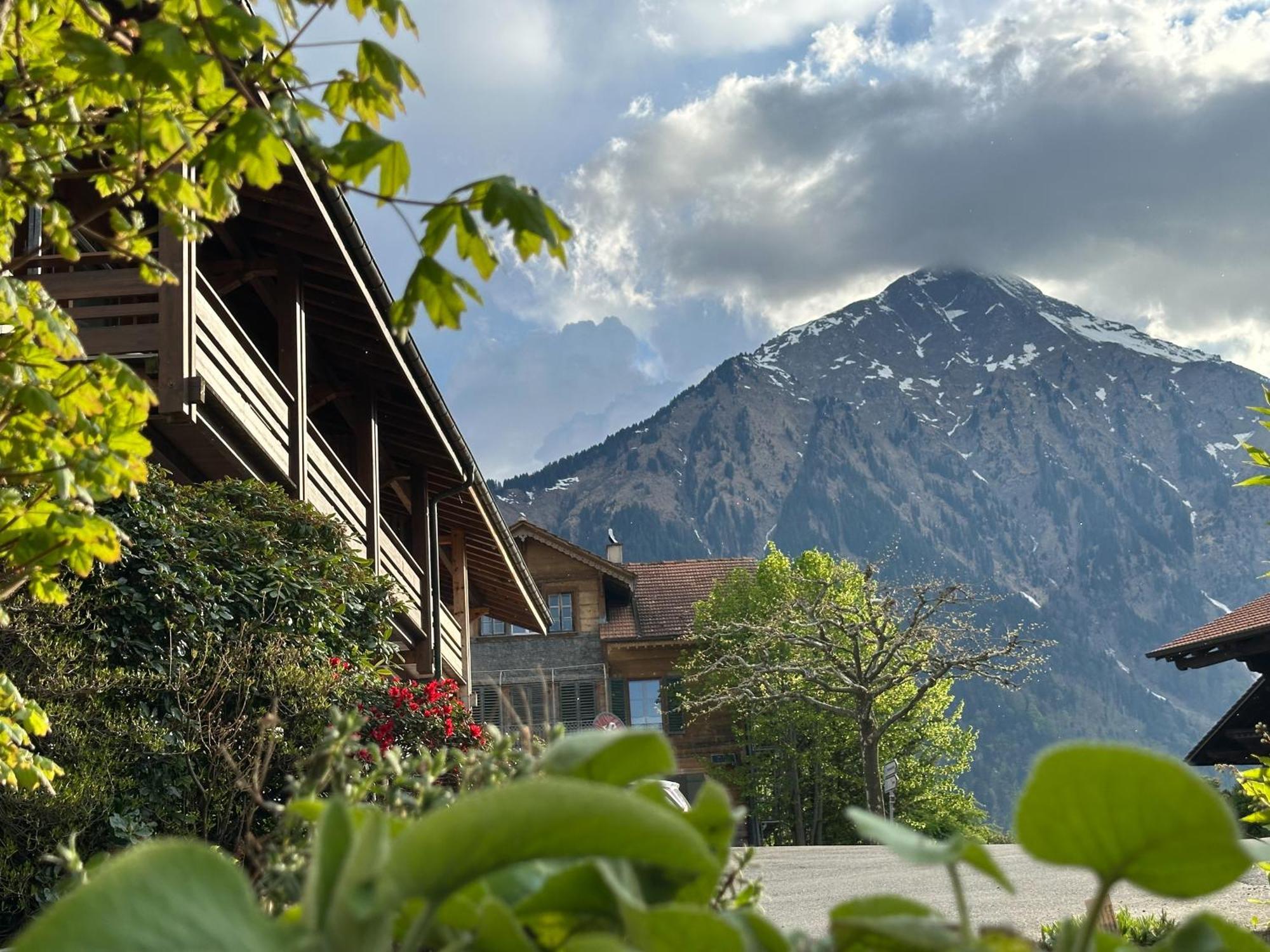 Hotel Aeschipark Aeschi Bei Spiez Exterior photo